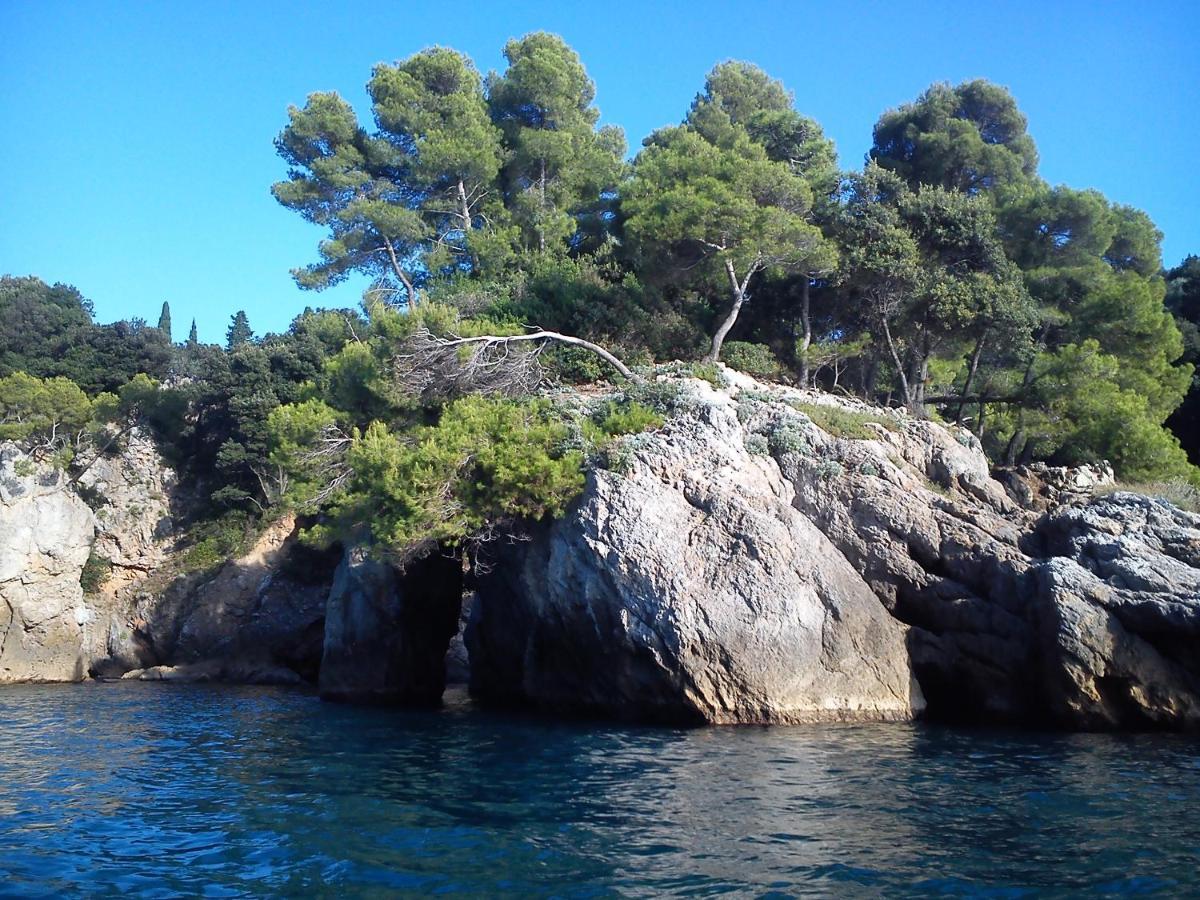 Mansard Apart Alba - Sea 5 Terre-Trekking-Excursions-Relax San Terenzo Ngoại thất bức ảnh